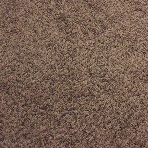 Meet your Posher, Marlene